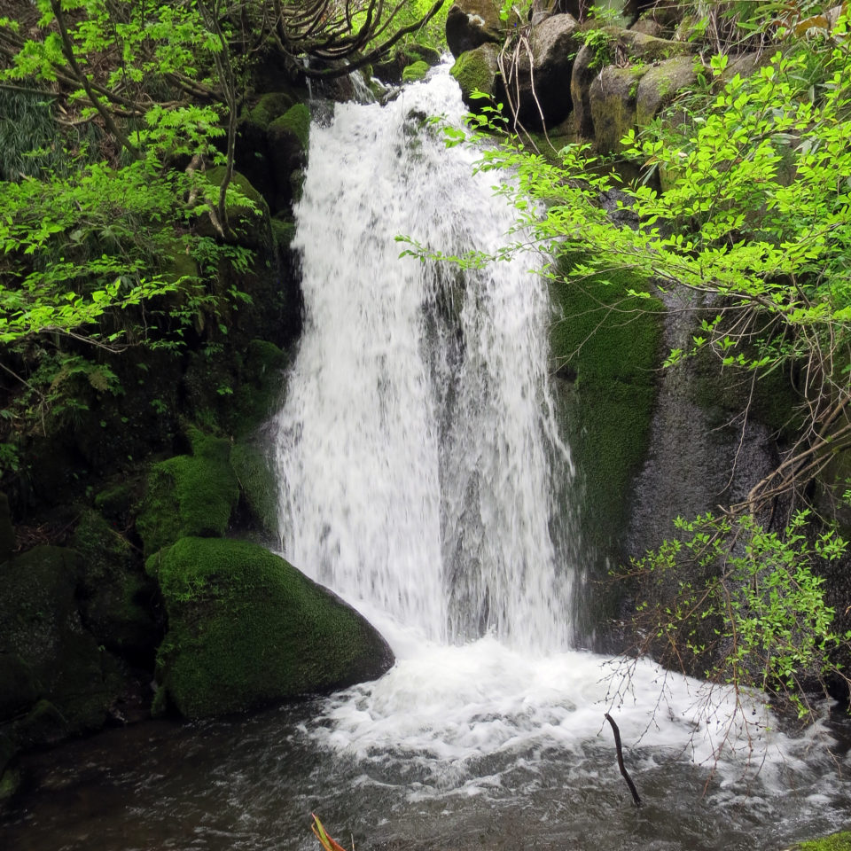 Tondaira Plateau