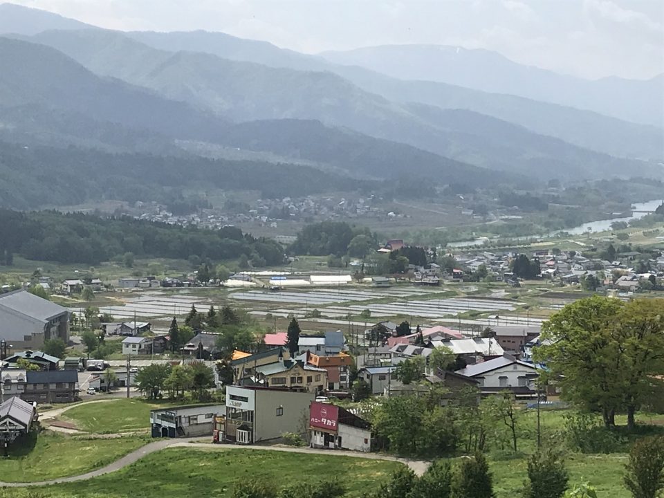 田植えの準備をしています